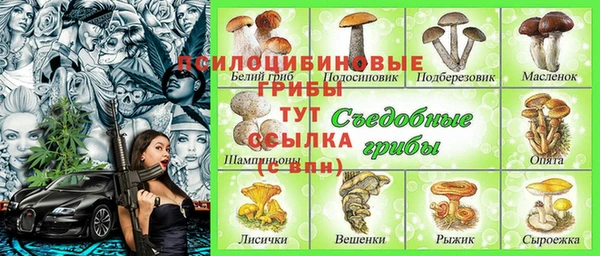 сатива Алзамай