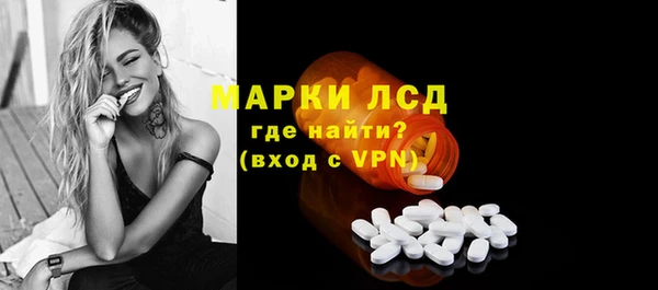 сатива Алзамай