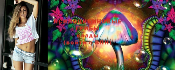 прущие крисы Саяногорск