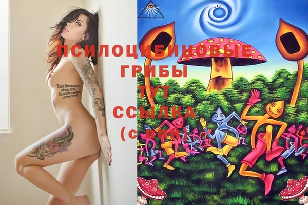 сатива Алзамай