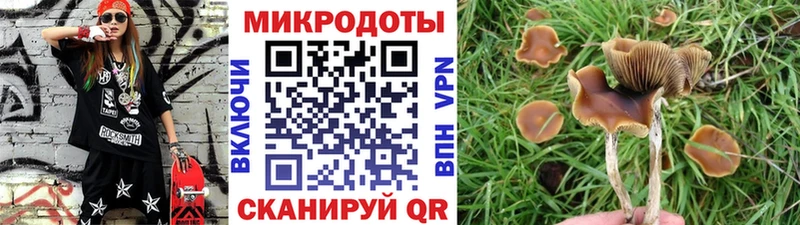 Галлюциногенные грибы MAGIC MUSHROOMS  Апатиты 